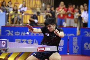 王皓指导樊振东比赛