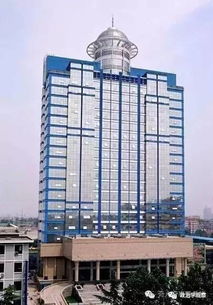 河南全面实施公职人员24小时禁酒令？官方回应来了，真相让人意外！