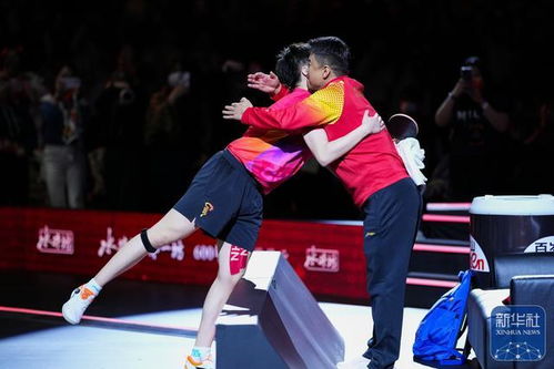 王楚钦夺冠后与王皓拥抱：师徒情深，热血背后的故事全揭秘