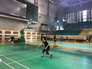 男单决赛激烈对打场景