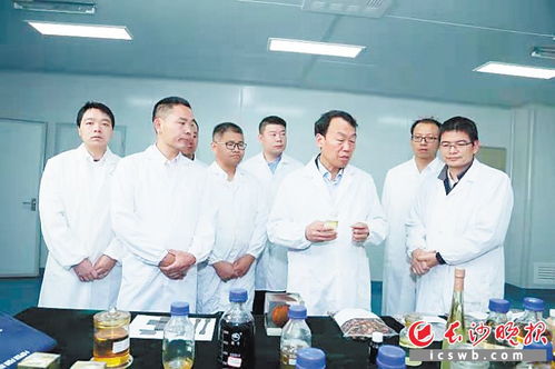 曦嘉医疗团队成员正在讨论临床数据