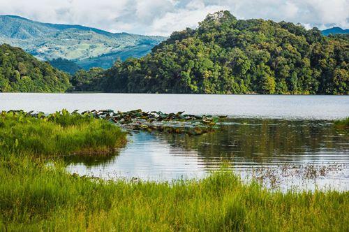 云南勐梭龙潭鱼群共舞画面