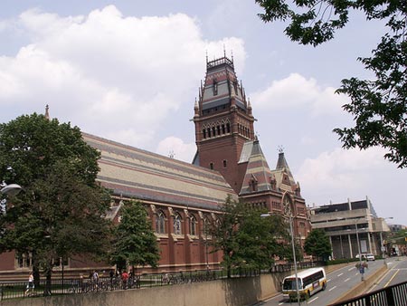 哈佛留学生发声：刀落到自己身上才知道疼