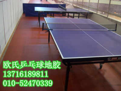 国乒多哈世乒赛大合影刷屏！栗色球台首秀，王楚钦孙颖莎领衔最强阵容出征