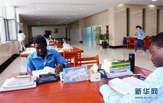 哈佛留学生在图书馆认真读书