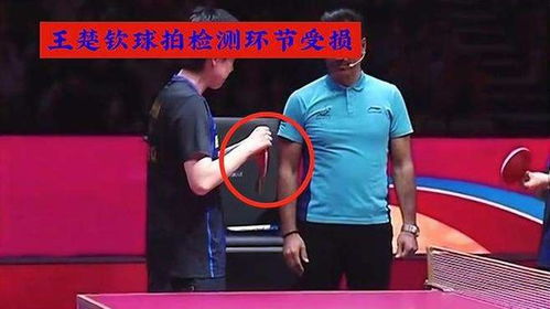 王楚钦检查球拍