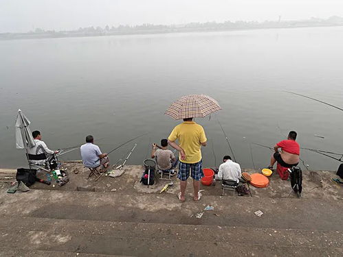 我亲历的燎原计划钓鱼挑战赛：一场全民狂欢的垂钓盛宴