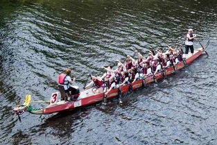 阳光下的龙舟静静停泊在河边