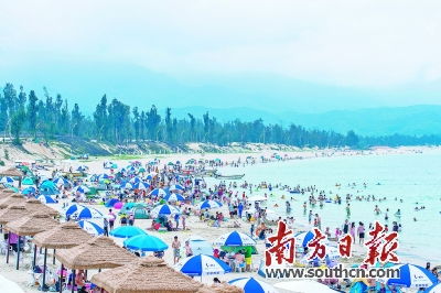 深圳大鹏沙滩半夜“发福利”？虾蟹满地游客狂捡，真相令人意外！