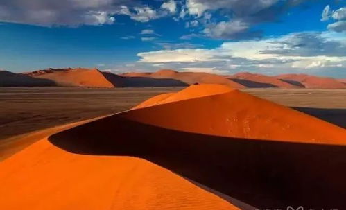 沙漠上崛起的芯片新贵：国产半导体如何在逆风中突围？