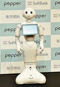 未来家庭机器人概念图