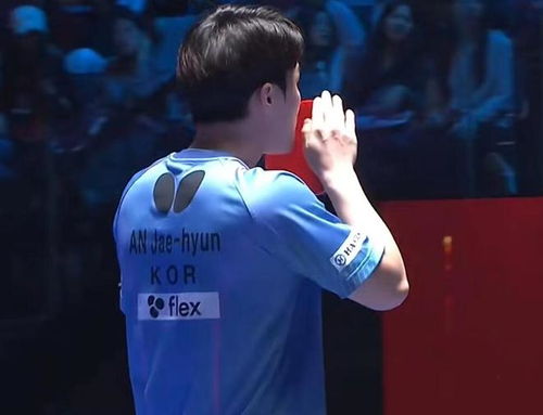 王楚钦机场偶遇安宰贤，赛场外的友好互动引发热议