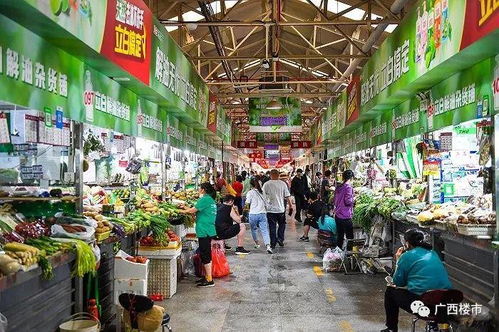 财经观察：“小商圈”畅通“微循环”，我在苏州双塔市集见证城市烟火新活力