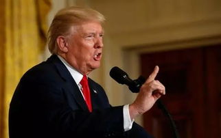 中国商人与特朗普家族会面