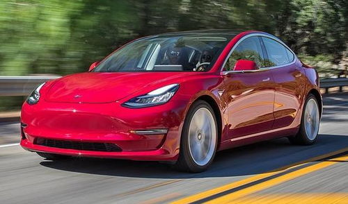 特斯拉Model Y与货车相撞现场图