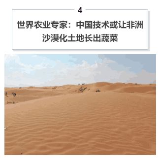 非洲沙漠边缘的中国农业技术示范区