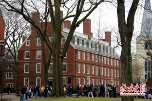 哈佛大学抗议现场
