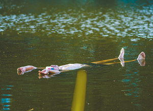 一群年轻人在河面上奋力划动龙舟