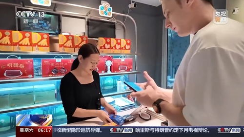 外国游客在中国使用移动支付