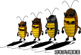 一只蟑螂在手臂上爬行