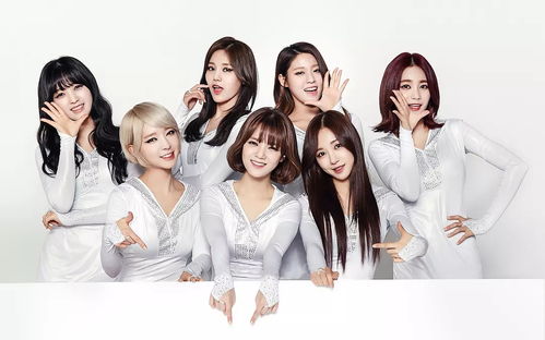 四位YG女团练习生合照概念图