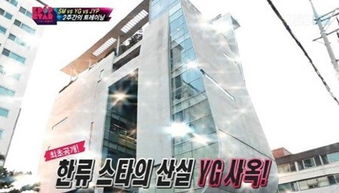 YG将推出4人组新女团，我提前揭秘成员名单与出道计划！