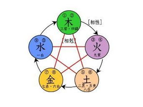 五行图鉴示意图