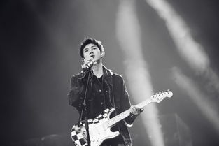 艾福杰尼演唱会上深情唱歌的照片