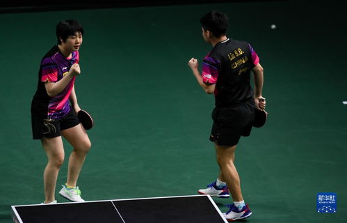 王励勤总结国乒多哈世乒赛表现，新周期首战打响！