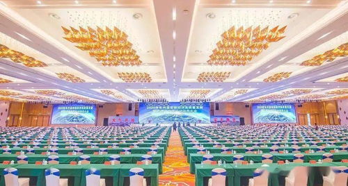 中国推动建立国际调解院：一场和平解决争端的全球新尝试