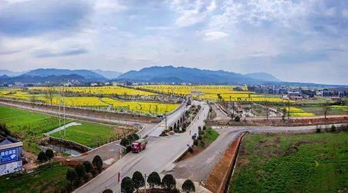 沙湾文旅出圈！‘最美农村路’背后的故事，我亲身探访揭秘