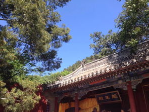 朱媛媛最后的日子在福建度过：低调告别，挚友痛悼