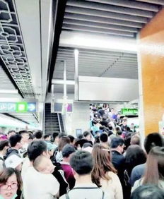 人群在网红景点前排队打卡