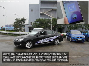 无人驾驶技术展示会上的演示场景