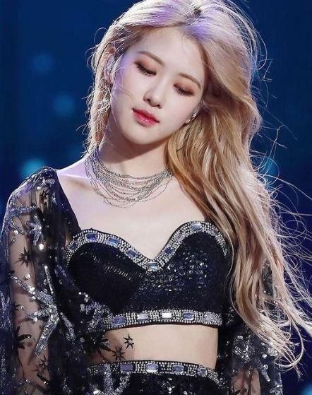 BLACKPINK 2025世界巡演正式官宣！首站高阳引爆全球，粉丝沸腾了