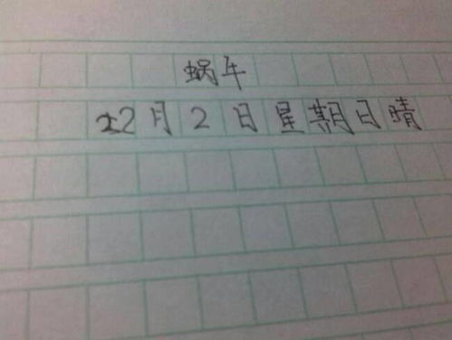 十分钟灵感，半小时打字🐶｜我的小学闲暇写作日常