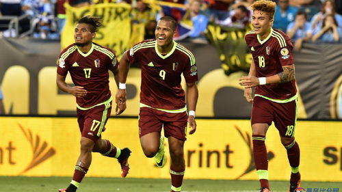 莫里斯刮除画布上的颜料