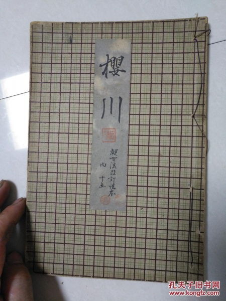 手写日记本上的文字和涂鸦