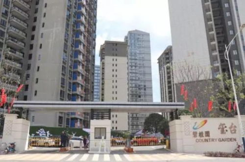 小区保安站岗照片