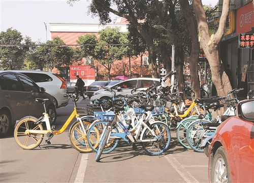共享单车曾经一度面临乱停乱放问题