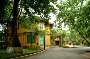 马克龙夫妇在越南到底看到了什么？深度揭秘行程背后的故事