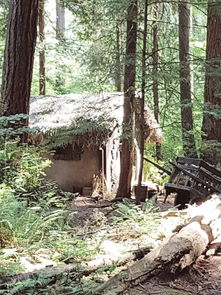 母亲的控诉：为何连家门口遇害的女儿都不愿被打码？