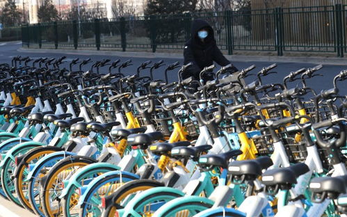街头整齐停放的共享单车