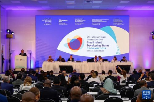 发展中国家代表参加国际会议