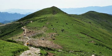 北灵山山坡上光秃秃的土地
