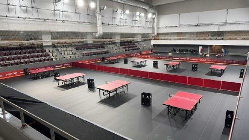 多哈世乒赛使用的红色球台