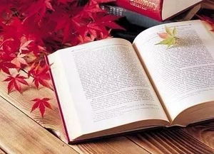 解字背后的故事：一个字如何改变我人生的轨迹