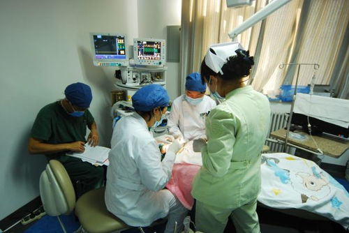 高密医院内伤者接受治疗场景