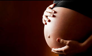 腓腓快要出生了！全网都在等这一刻，我却有点慌了…