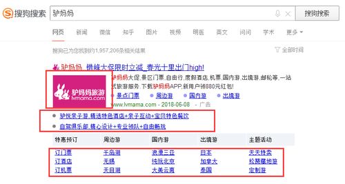 网络搜索结果截图示意